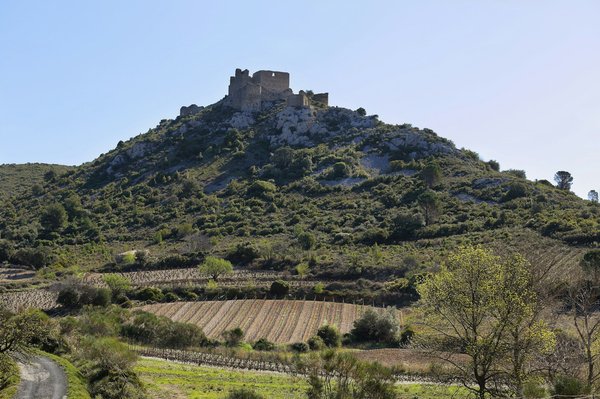 Which guided tours in the UK offer a deep dive into the history of the Industrial Revolution?